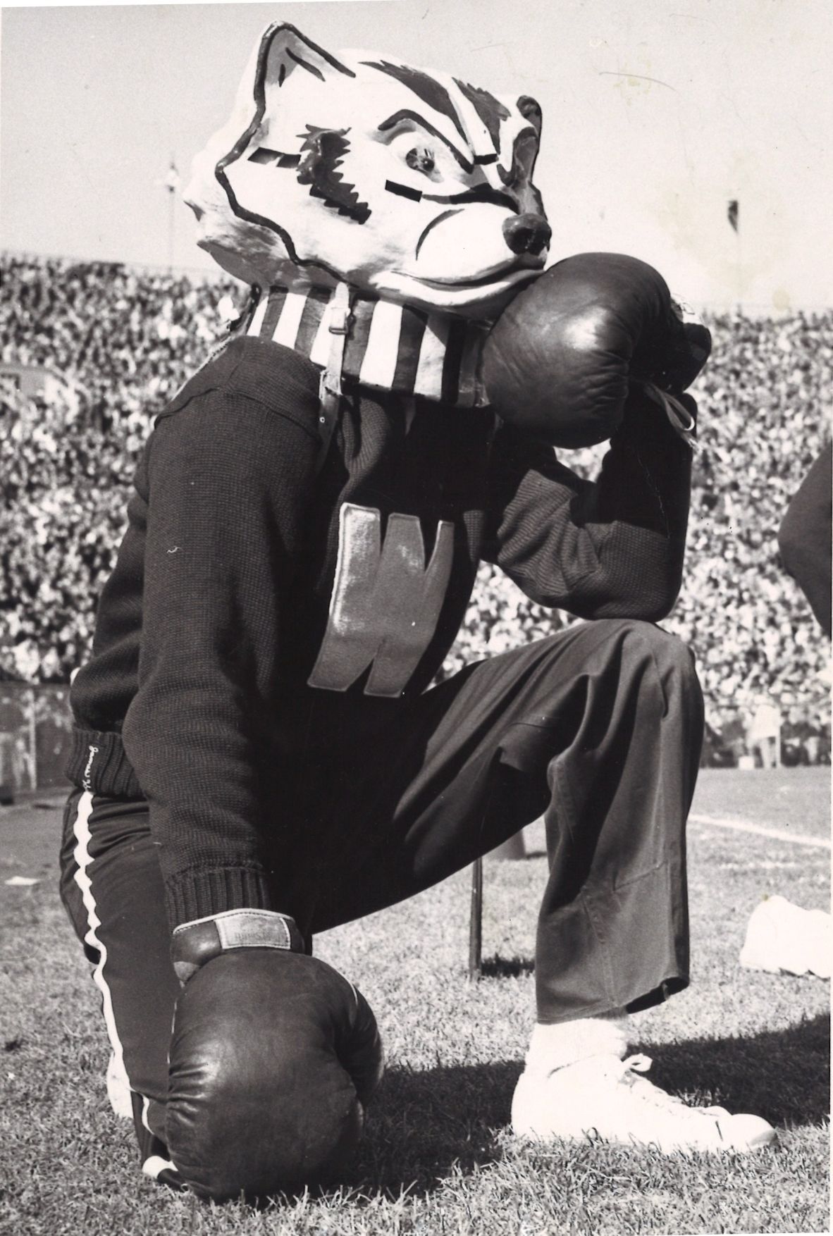 Bucky the boxer, 1956